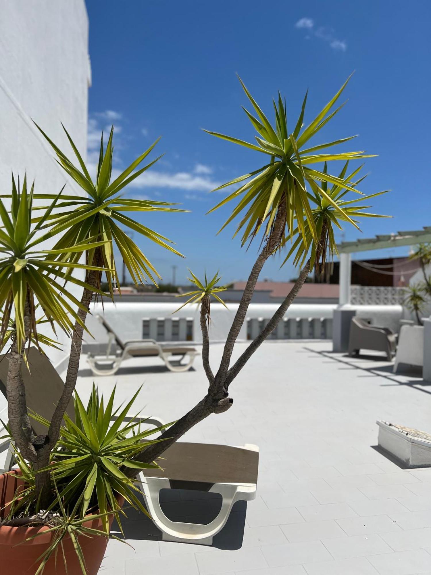Vila Do Sol Fuseta Exterior foto